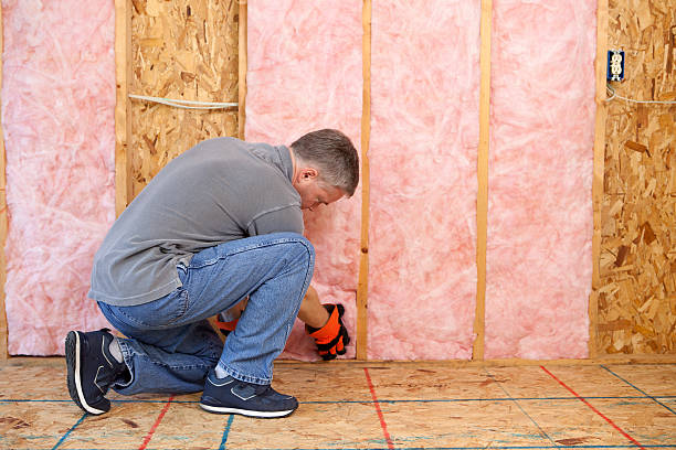 Best Insulation Installation Services in West Laurel, MD